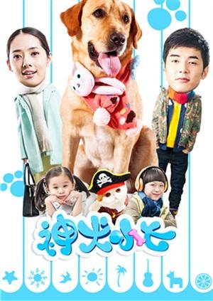 神犬小七
