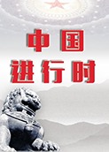 中国进行时 2020