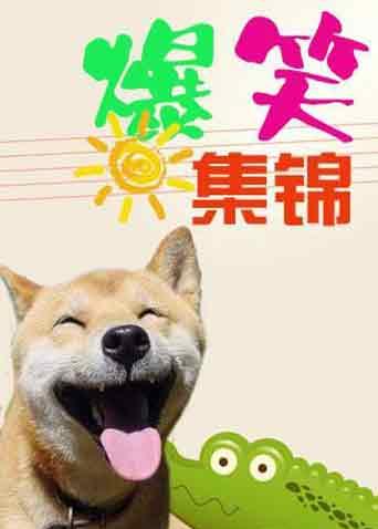 爆笑集锦 2017