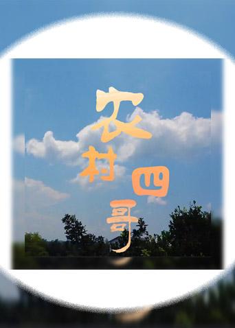 农村四哥