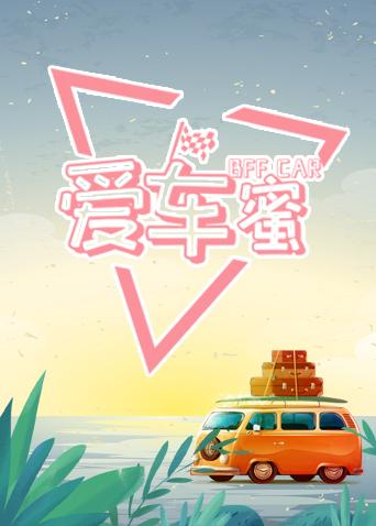 爱车蜜 2019