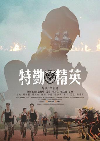 特勤精英 DVD版