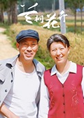 兰桐花开
