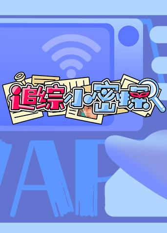 追综小密探 2022