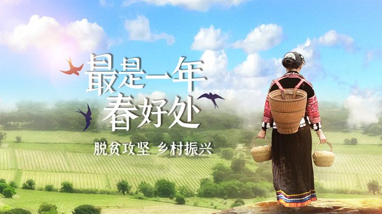 最是一年春好处