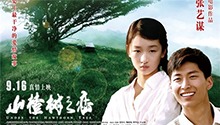 山楂树之恋