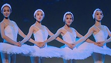 “天鹅”绝美演出震撼全场