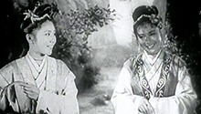 马兰花