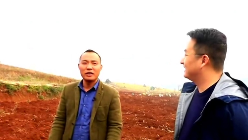 （老村新青年）郴州桂阳 邓海波：50万年薪厂长不当 偏种让他“丢面”的葛根