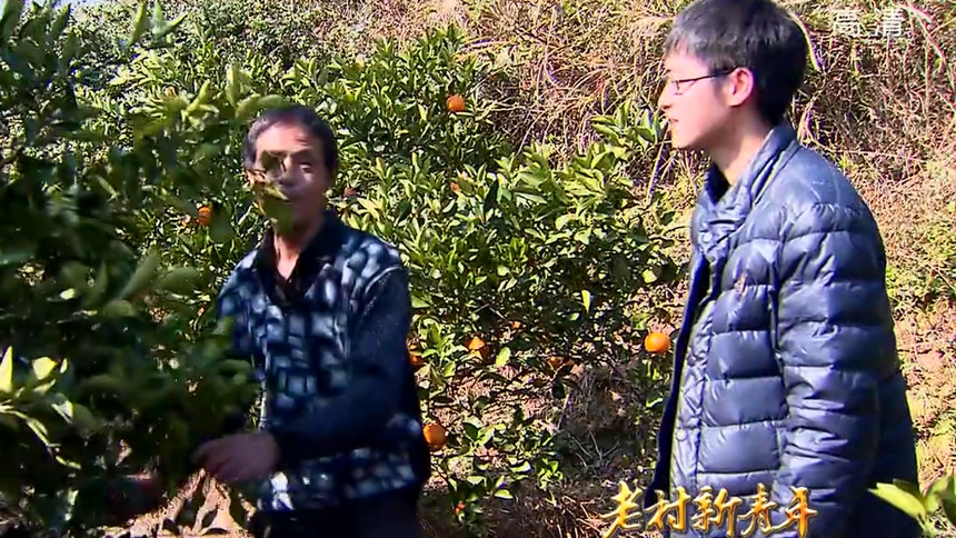 （老村新青年）曾浩：我用“橙心”搏明天