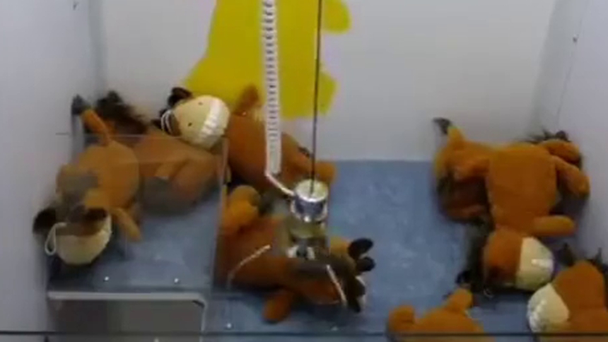 传说中的娃娃收割者