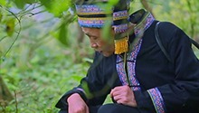 瑶家药膳 开启致富新门路