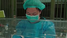 女饲养员七天不离厌食大熊猫