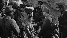 鸡毛信