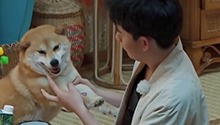 胡先煦独自撸狗撑起一场戏