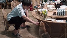 彭昱畅和小H告别