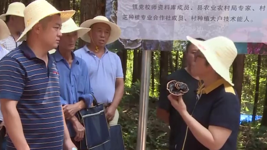 蓝山：省委组织部“田间课堂”成群众“致富课堂”