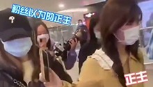 赵露思出机场伪装成代拍