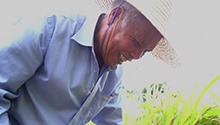 扶智育根