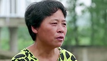 为爱坚守