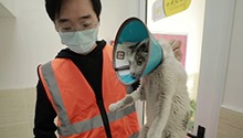 能让喵星人俯首称臣的“超能力”