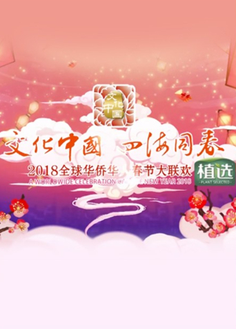 2018湖南卫视全球华侨华人春晚