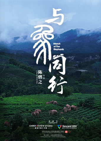 与象同行