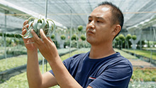 鲜花香飘满天下