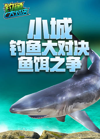小城钓鱼大对决 鱼饵之争