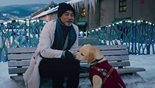 小Q 粤语版