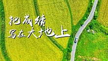 把成绩写在大地上