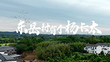东岳村有个杨长太