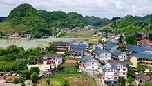 枫香花茂又一村