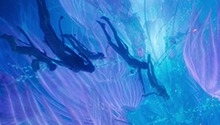 邀你重返潘多拉星球！