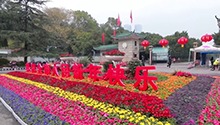 长沙：百花添年味 焕颜迎新年