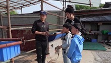超强动物能量