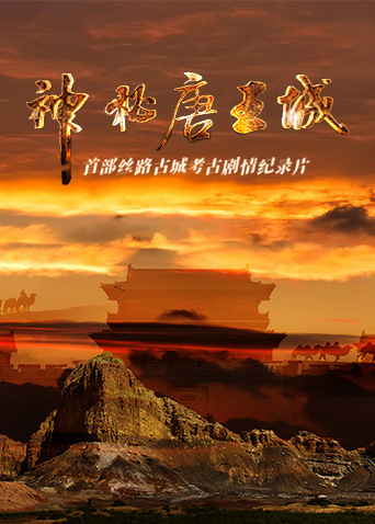 神秘唐王城