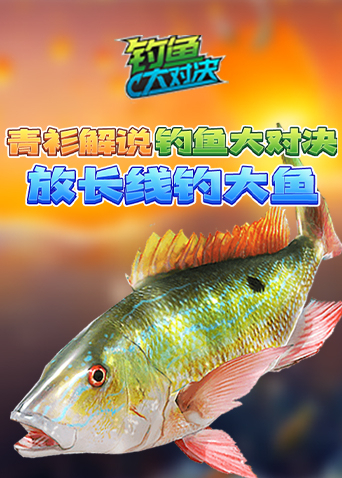 青衫解说钓鱼大对决 放长线钓大鱼