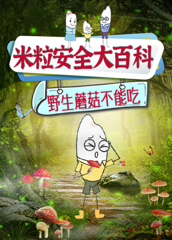 米粒安全大百科
