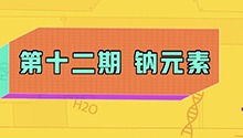 钠元素