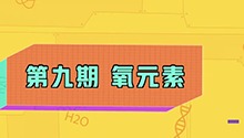 氧元素