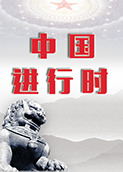 中国进行时 2024