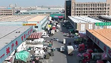 宁夏银川：积极应对寒潮 提稳百姓“菜篮子”