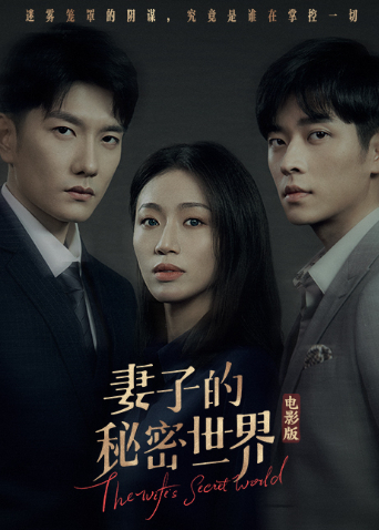 妻子的秘密世界 电影版
