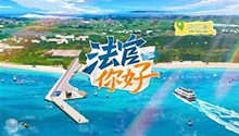 涠洲岛独特的生态旅游法庭