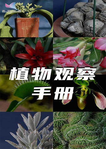 植物观察手册