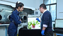 自适应光致变色材料的变色原理是什么？