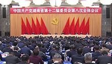 中国共产党湖南省第十二届委员会第八次全体会议决议