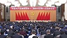 中国共产党湖南省第十二届委员会第八次全体会议决议