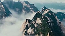 用诗意疗愈自我